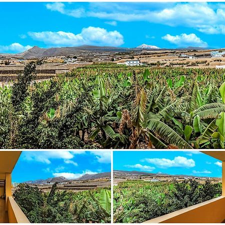 Sunflower Sea And Teide View 圣地亚哥港 外观 照片