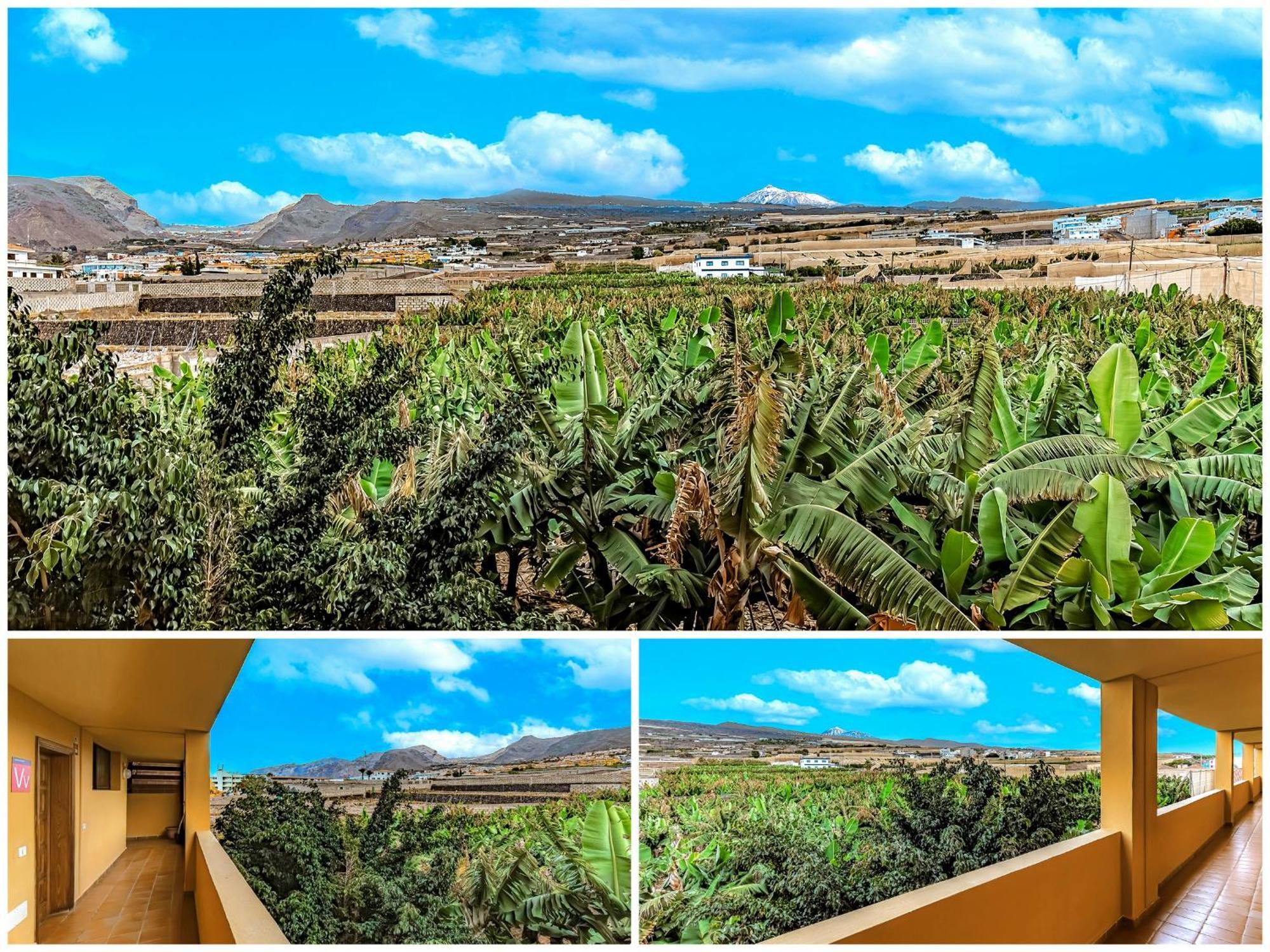 Sunflower Sea And Teide View 圣地亚哥港 外观 照片